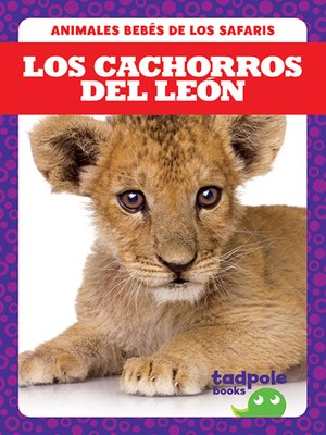 cover image of Los cachorros del león (Lion Cubs)
